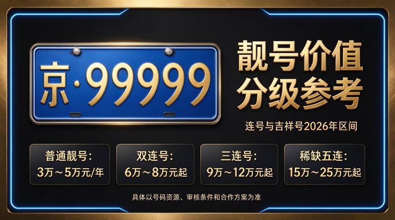 闲置车牌指标展示